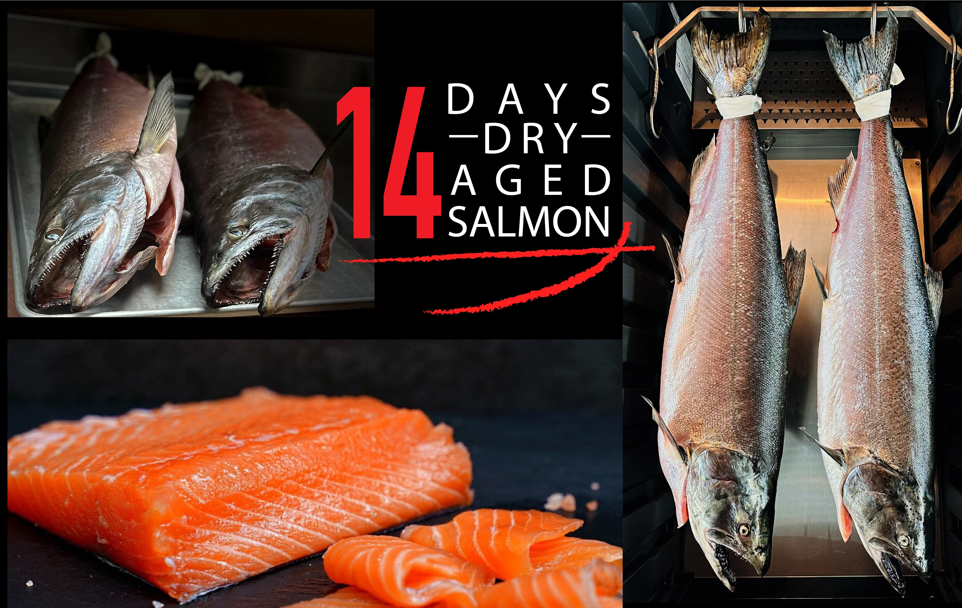 14 Days dry aged Ora King Salmon at Irina's Steak and Seafood