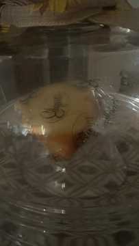 Photo from Sonya J.'s review