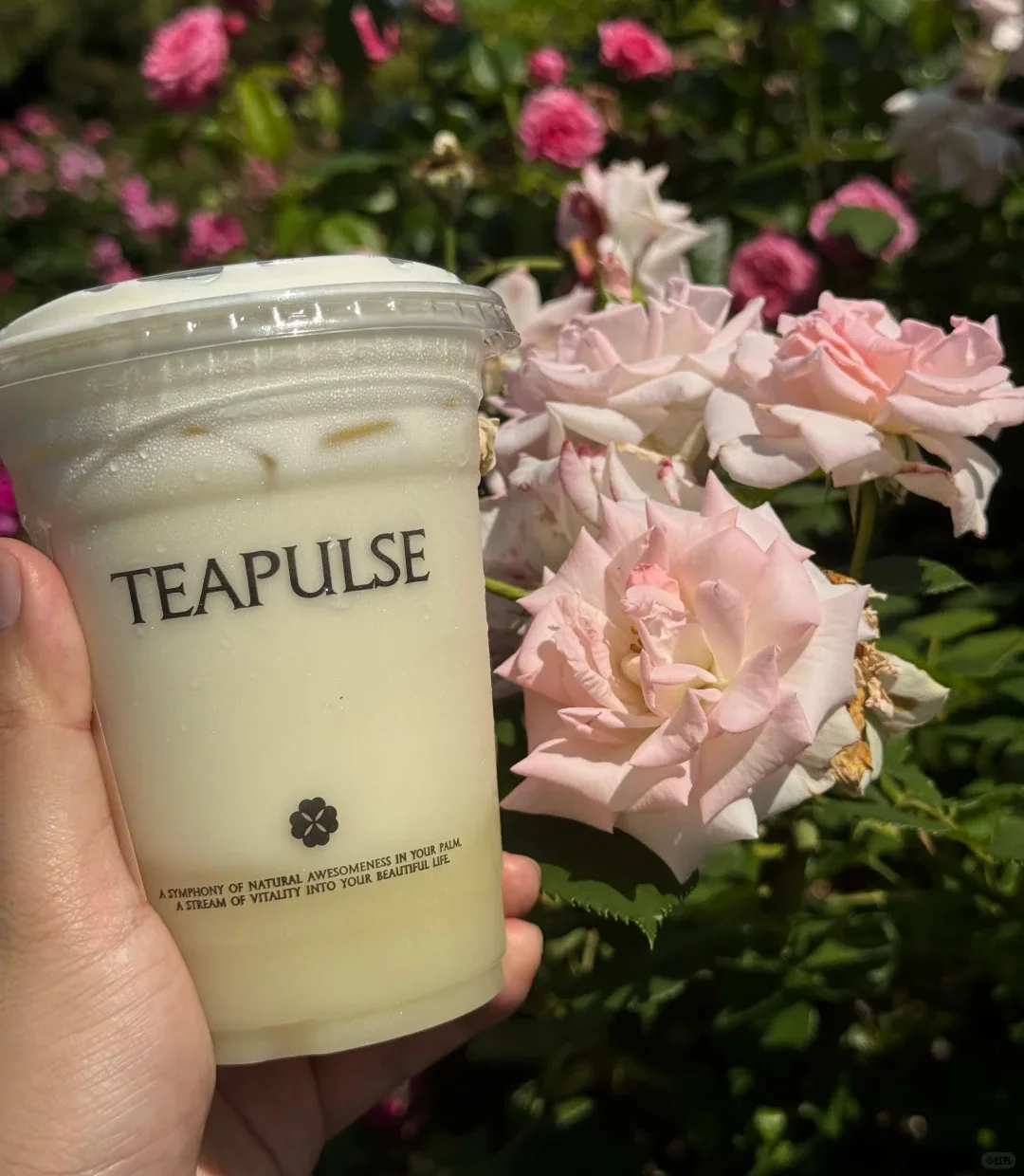 Refreshing tea drink in a rose garden