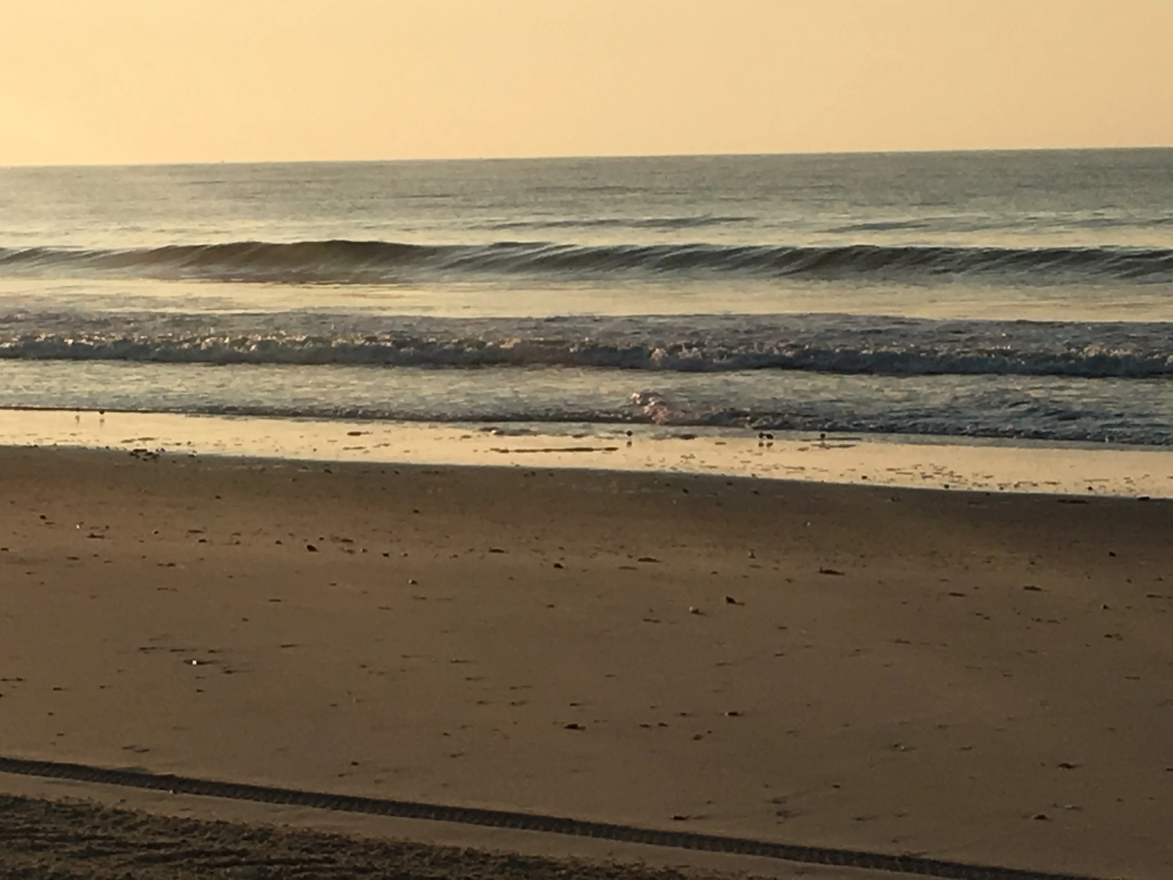 Serene beach view at sunset with gentle waves