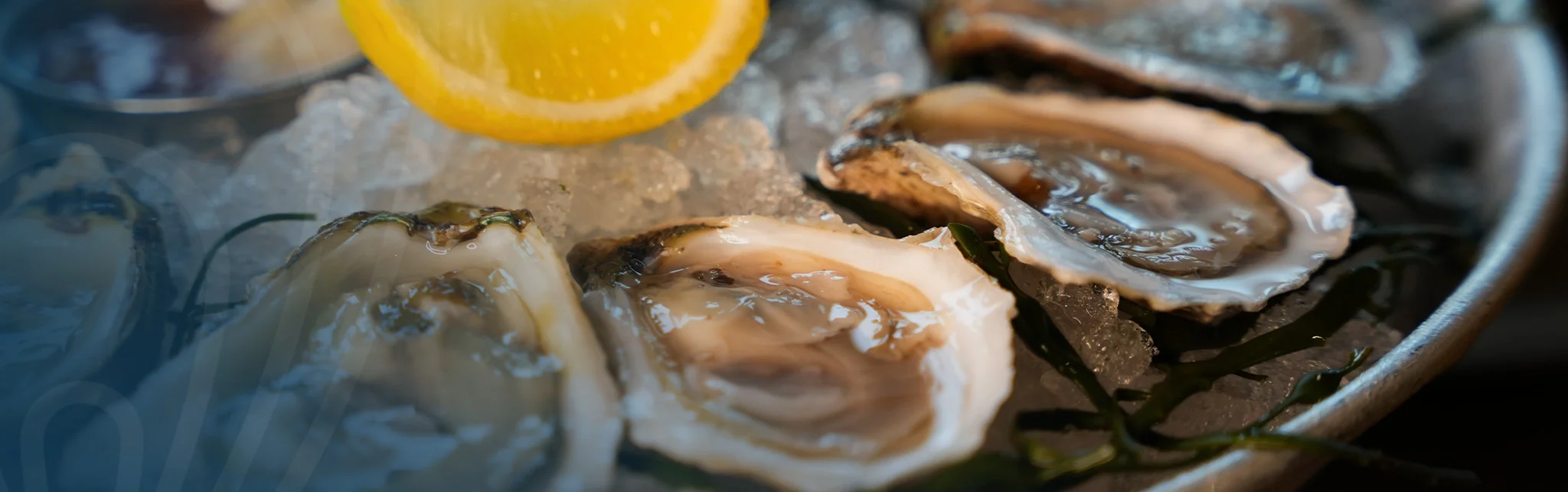Freshly shucked oysters on ice with lemon garnish