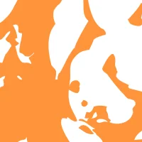 Pattern of white roses on an orange background