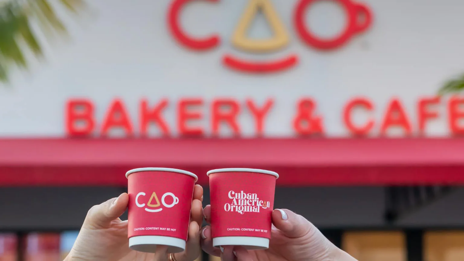 Cuban coffee cups at a bakery cafe