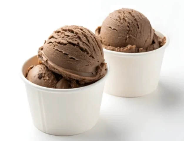 Regular Cup (Hard Scoop)