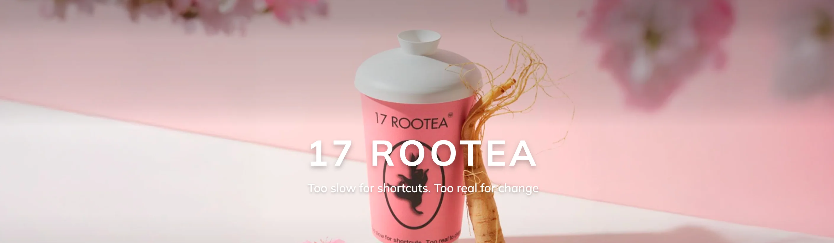 17 Rootea herbal tea with ginseng in a stylish cup