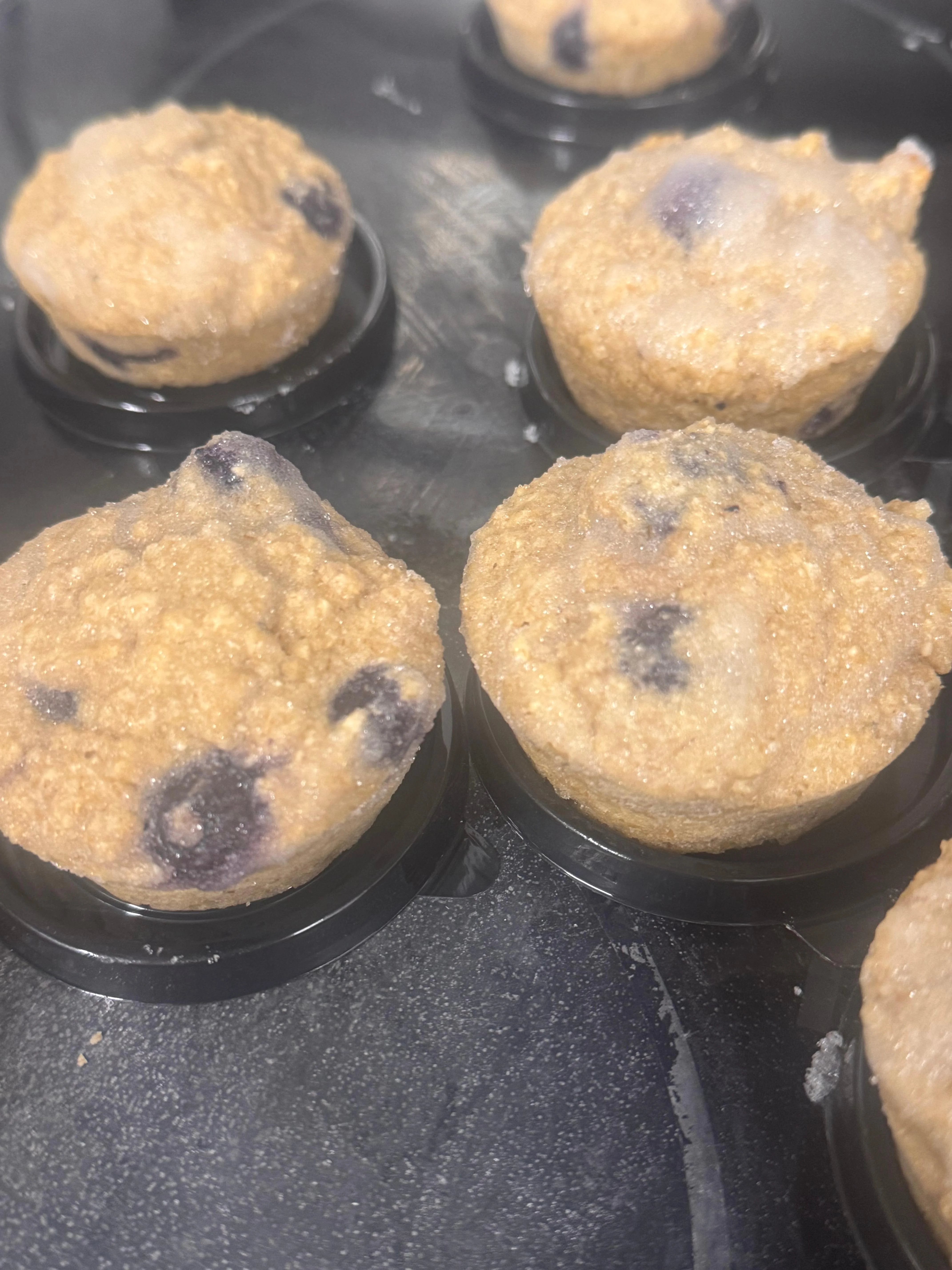 Blueberry Muffin