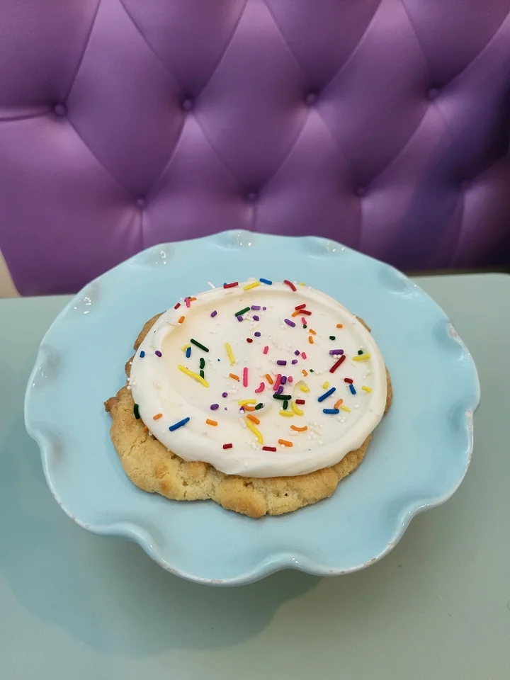 Gluten Free Iced Sugar Cookie