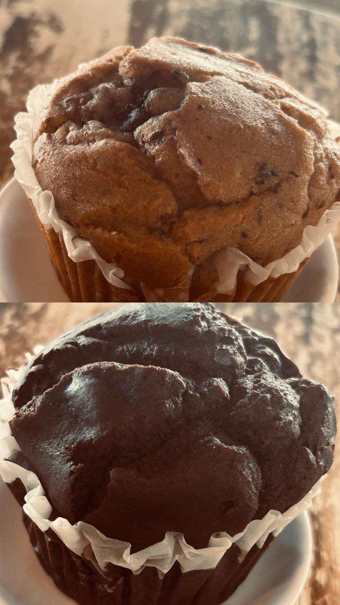 A display of two muffins, one chocolate and one vanilla, both in paper liners.