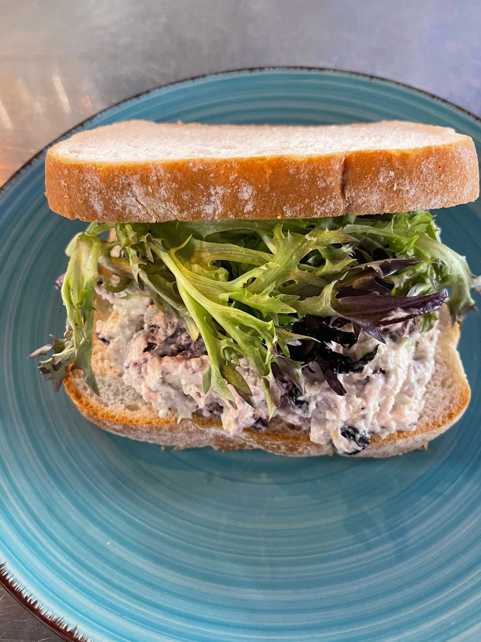 Classic chicken salad sandwich with fresh greens