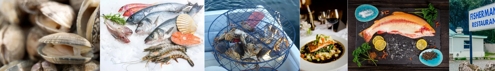 Fresh seafood assortment at a coastal restaurant