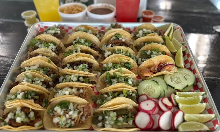 A plate featuring a green enchilada drizzled with sour cream and sprinkled with cheese, garnished with a slice of radish and cilantro.