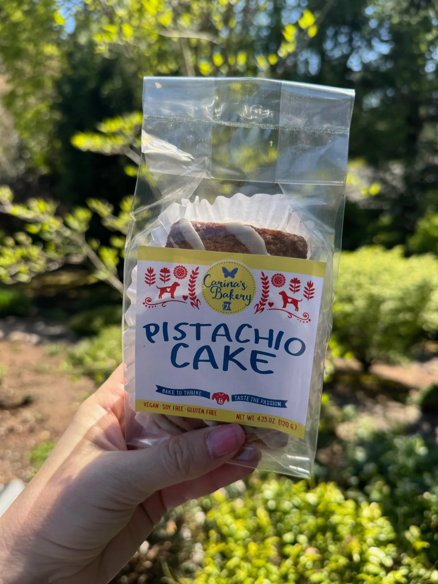 Pistachio Cake (gf)