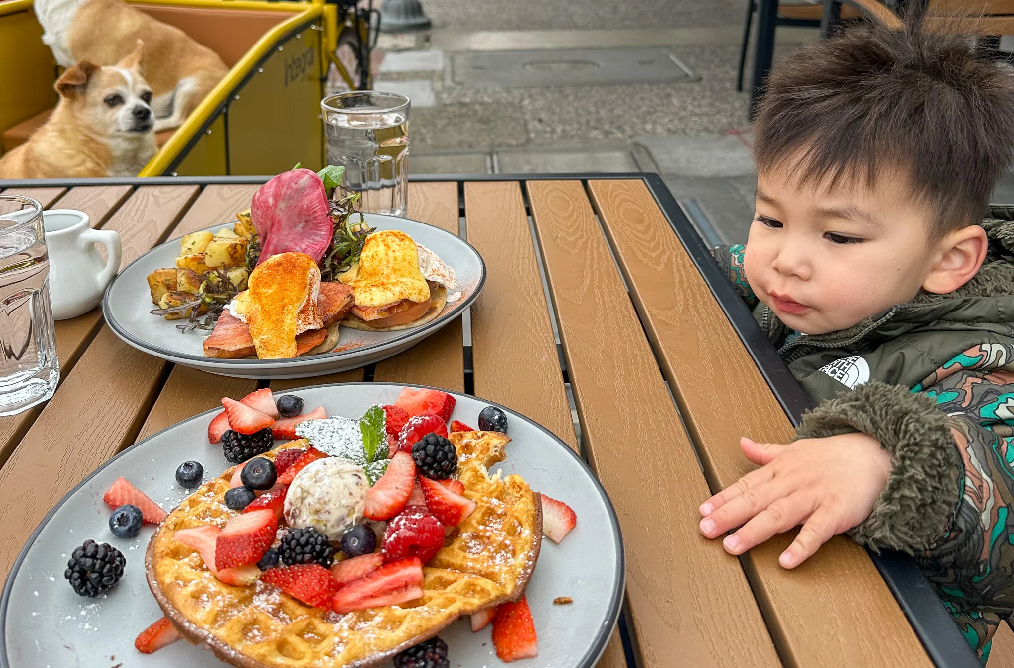 Belgian waffles topped with fresh berries and ice cream