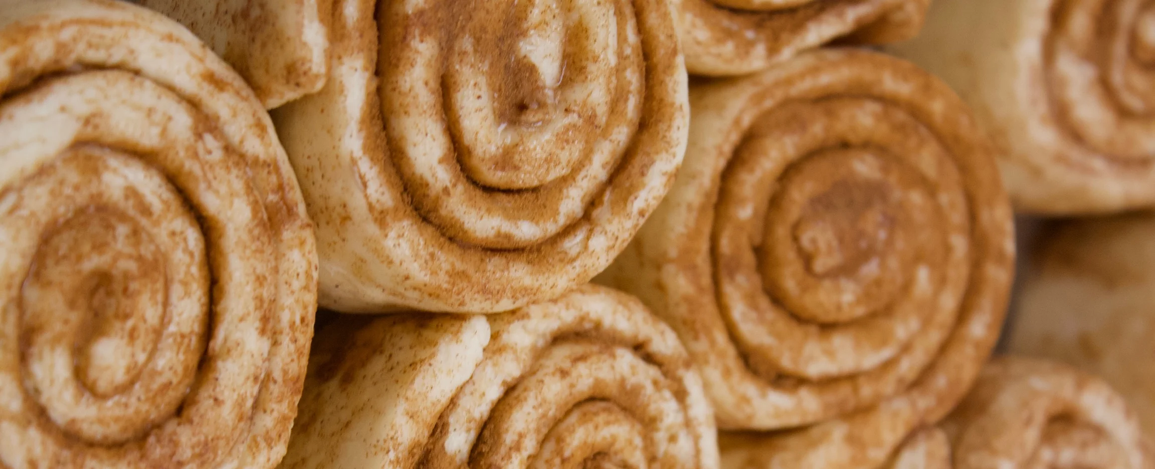 Freshly rolled cinnamon rolls ready for baking
