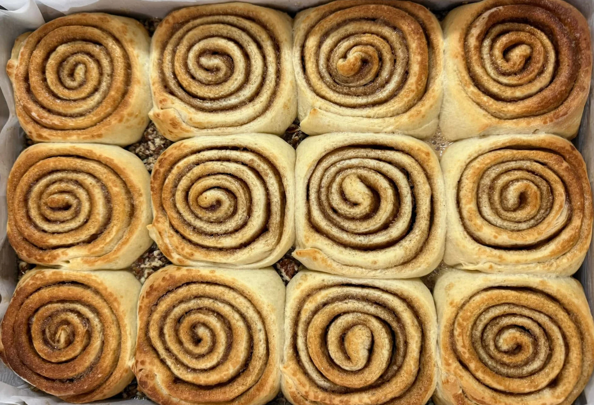 Freshly baked cinnamon rolls in a tray