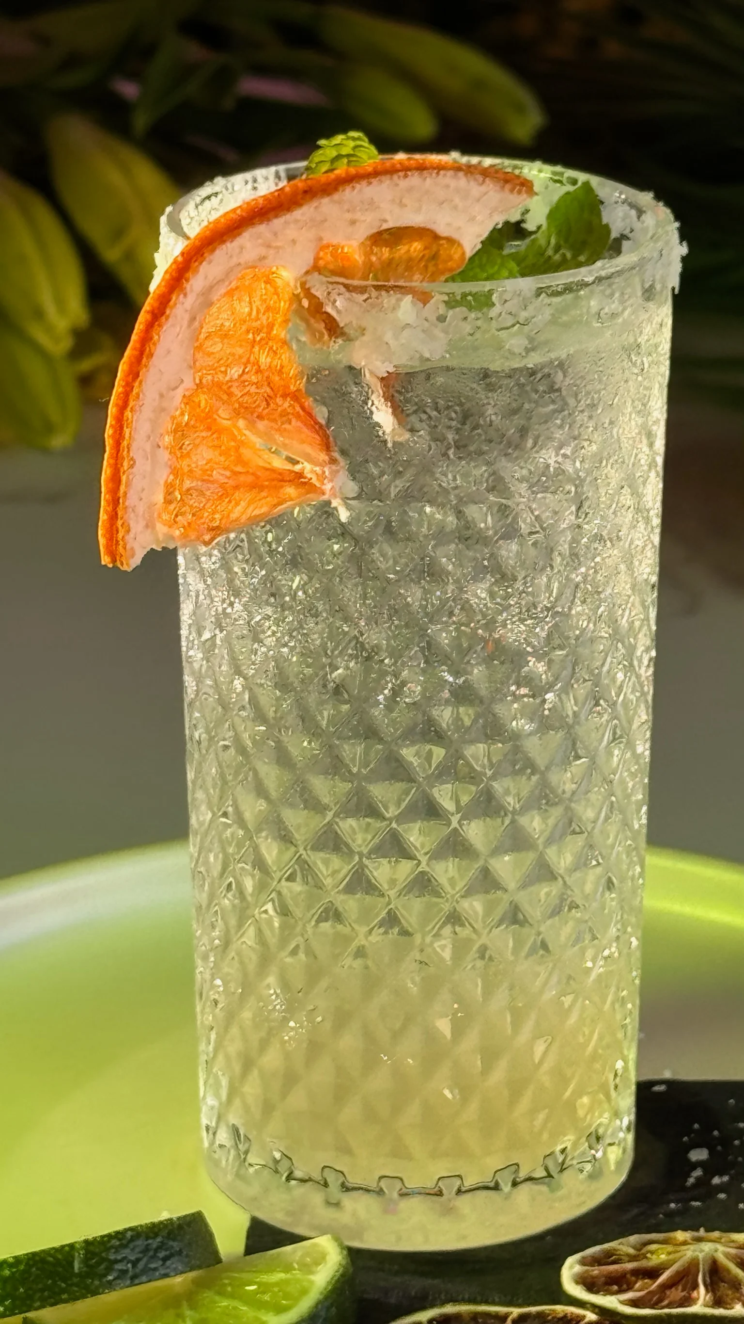 Refreshing cocktail garnished with dried orange and mint leaves
