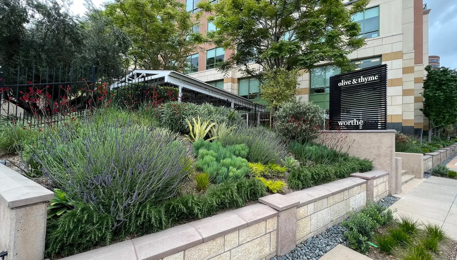 Exterior view of Olive & Thyme restaurant with lush landscaping