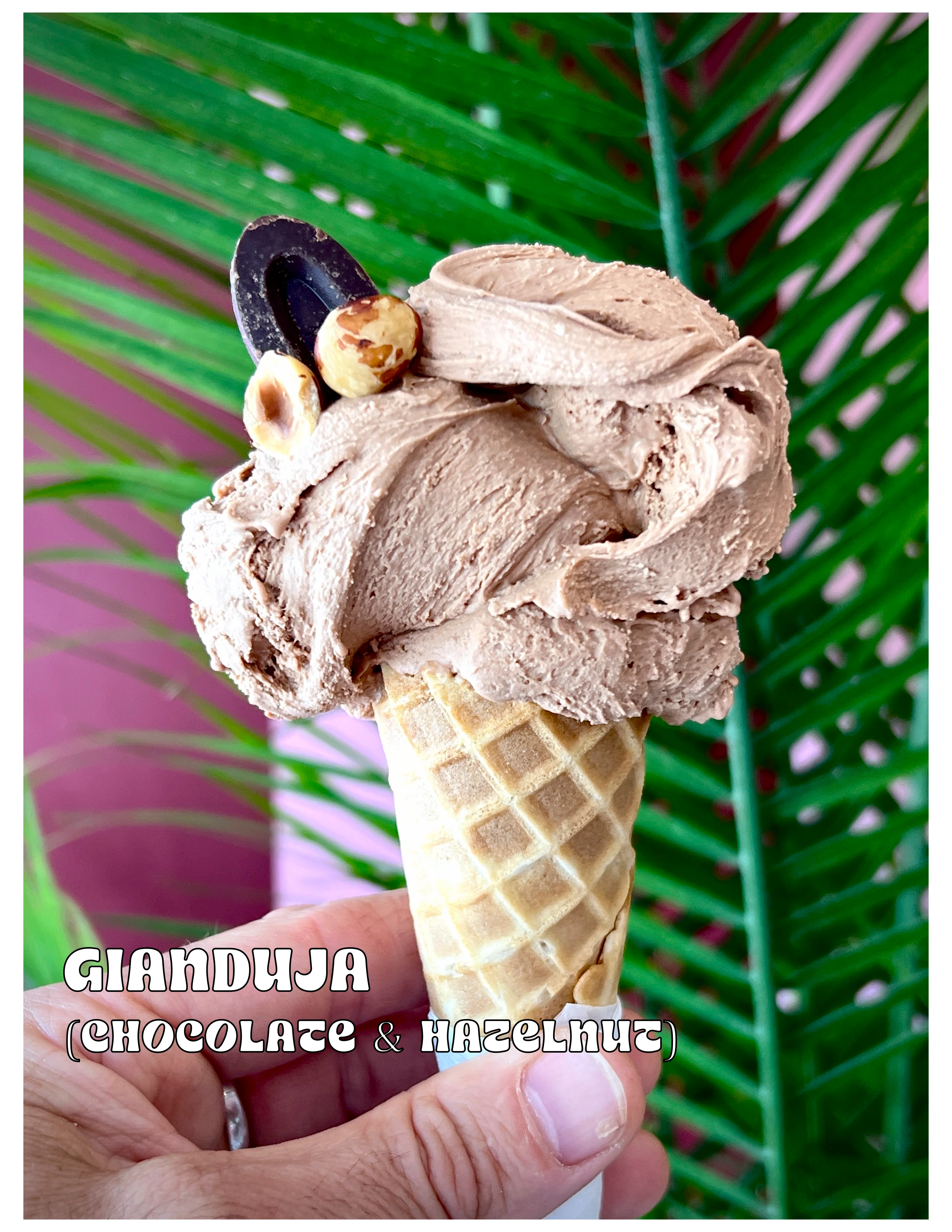 Delicious gianduja gelato in a waffle cone against a tropical backdrop