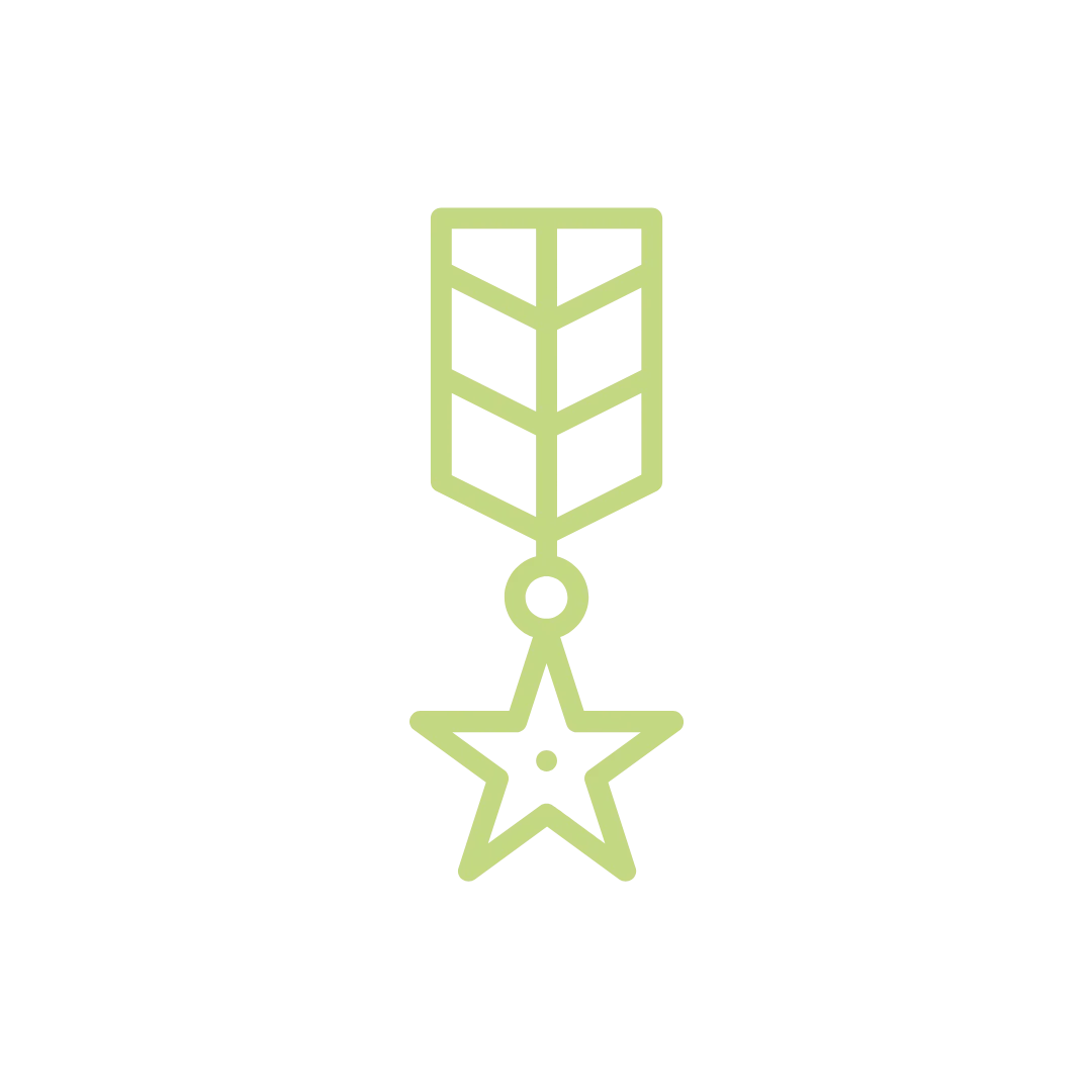 Stylized military medal with star emblem