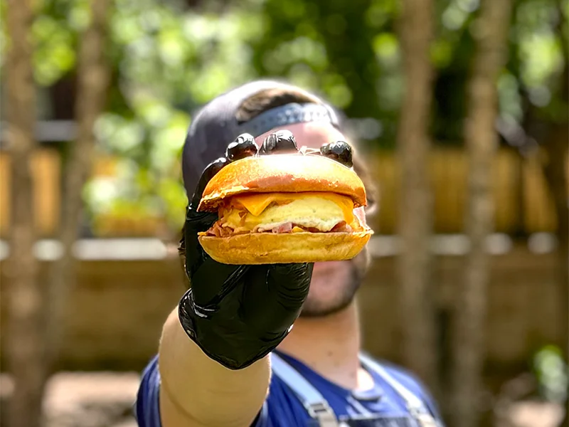 Delicious chicken sandwich with cheese and toppings