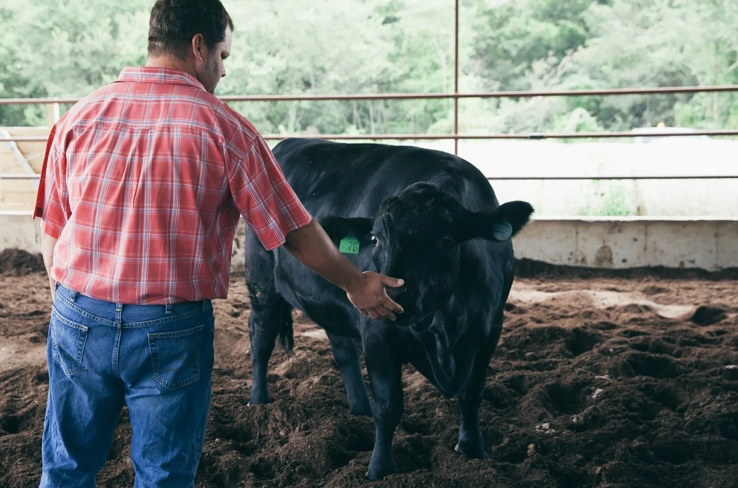 Couple enjoying a large meal featuring Blue Meadow Beef.
