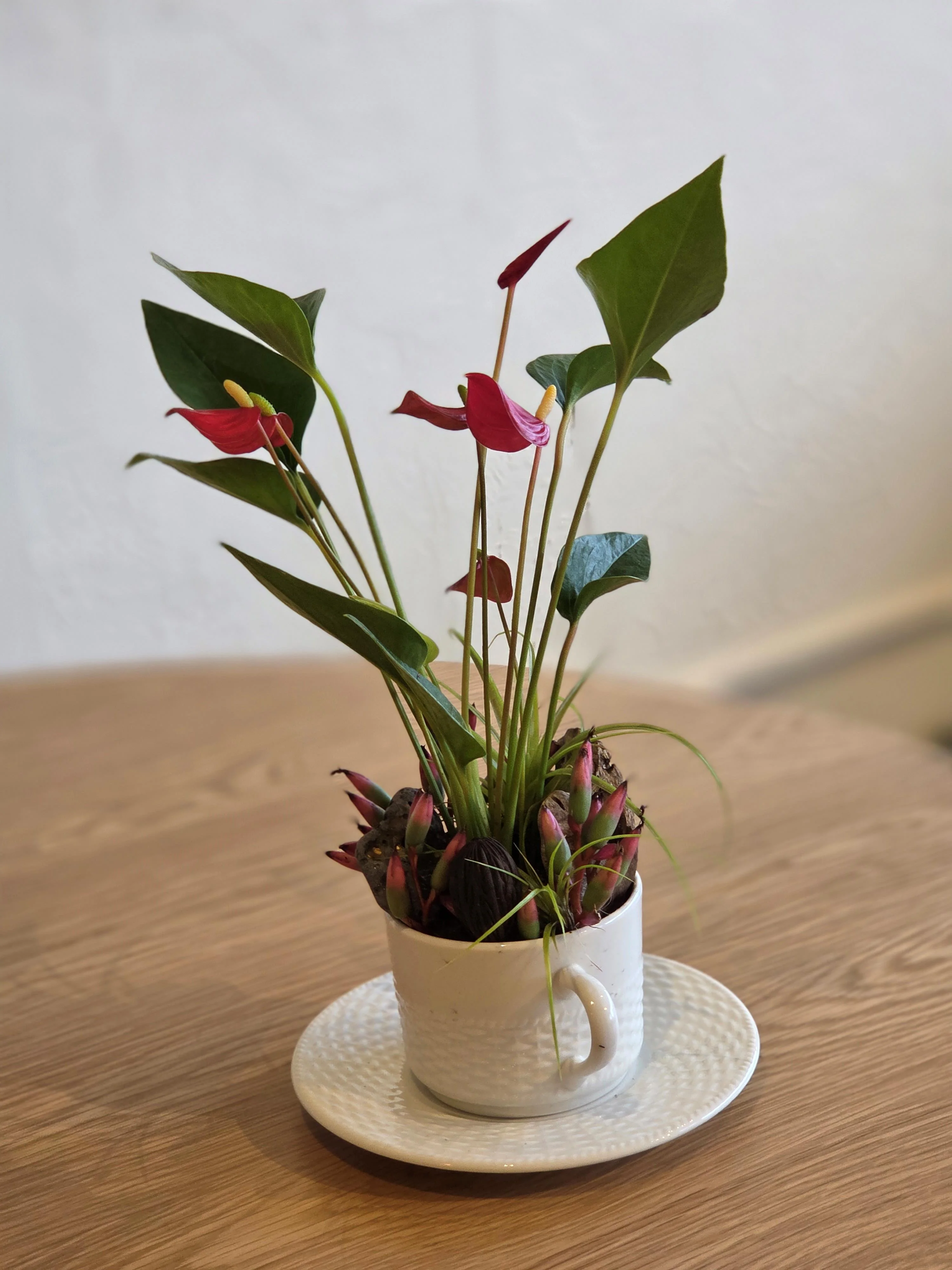 Decorative potted plant arrangement in a white cup