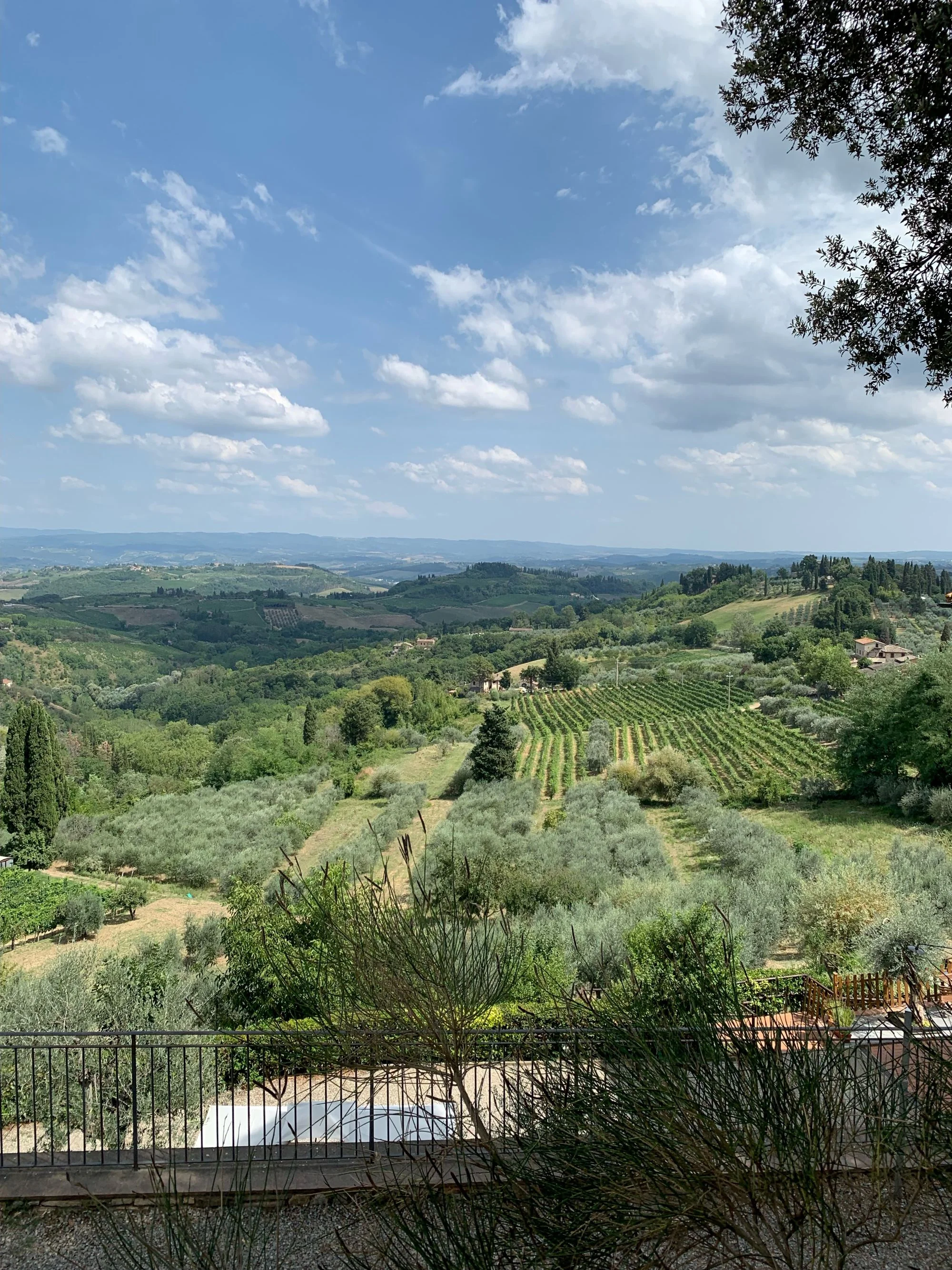 Scenic view of Tuscan vineyards and olive groves under a blue sky
