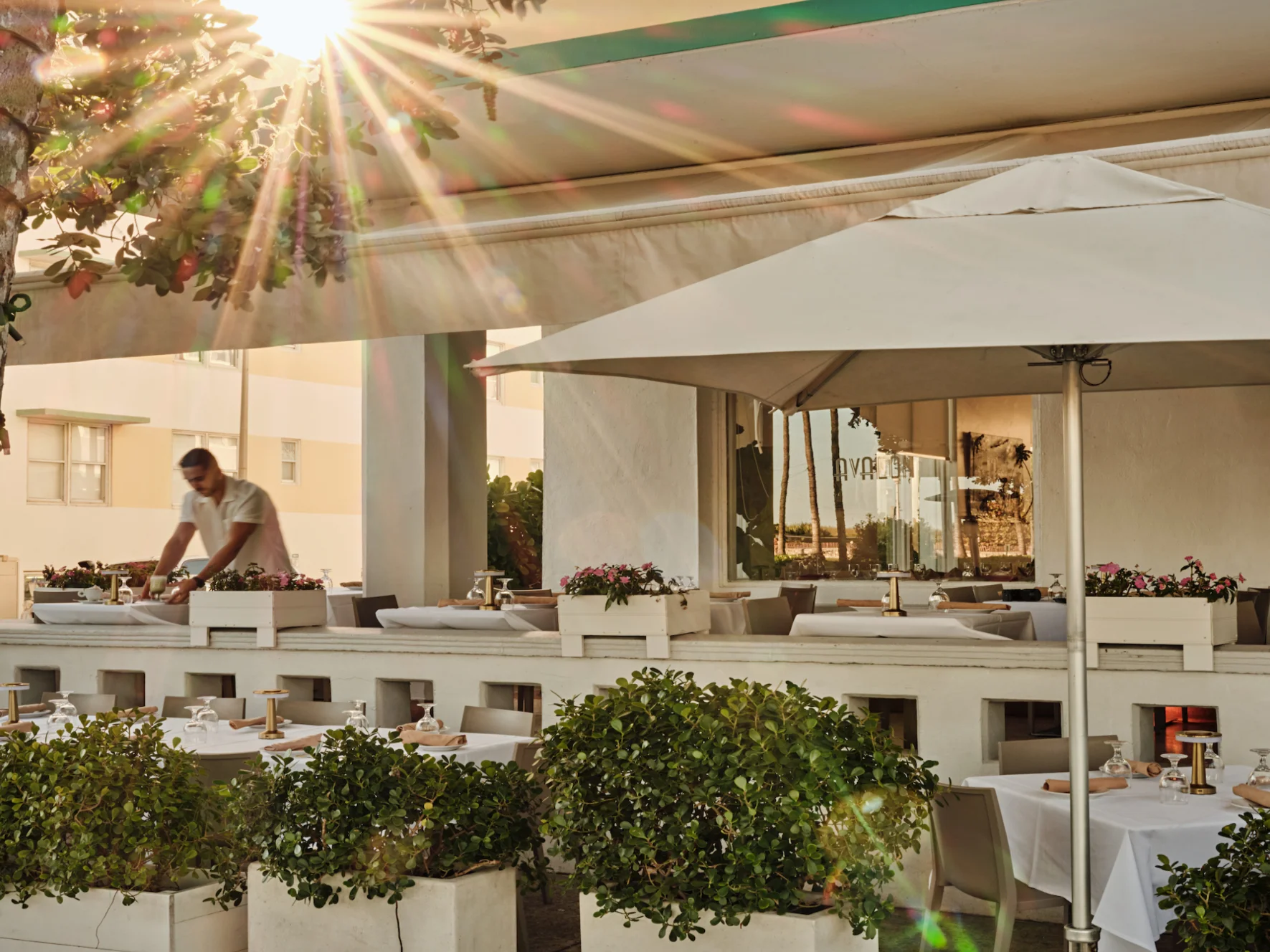 Charming outdoor dining area with sunlit tables and lush greenery