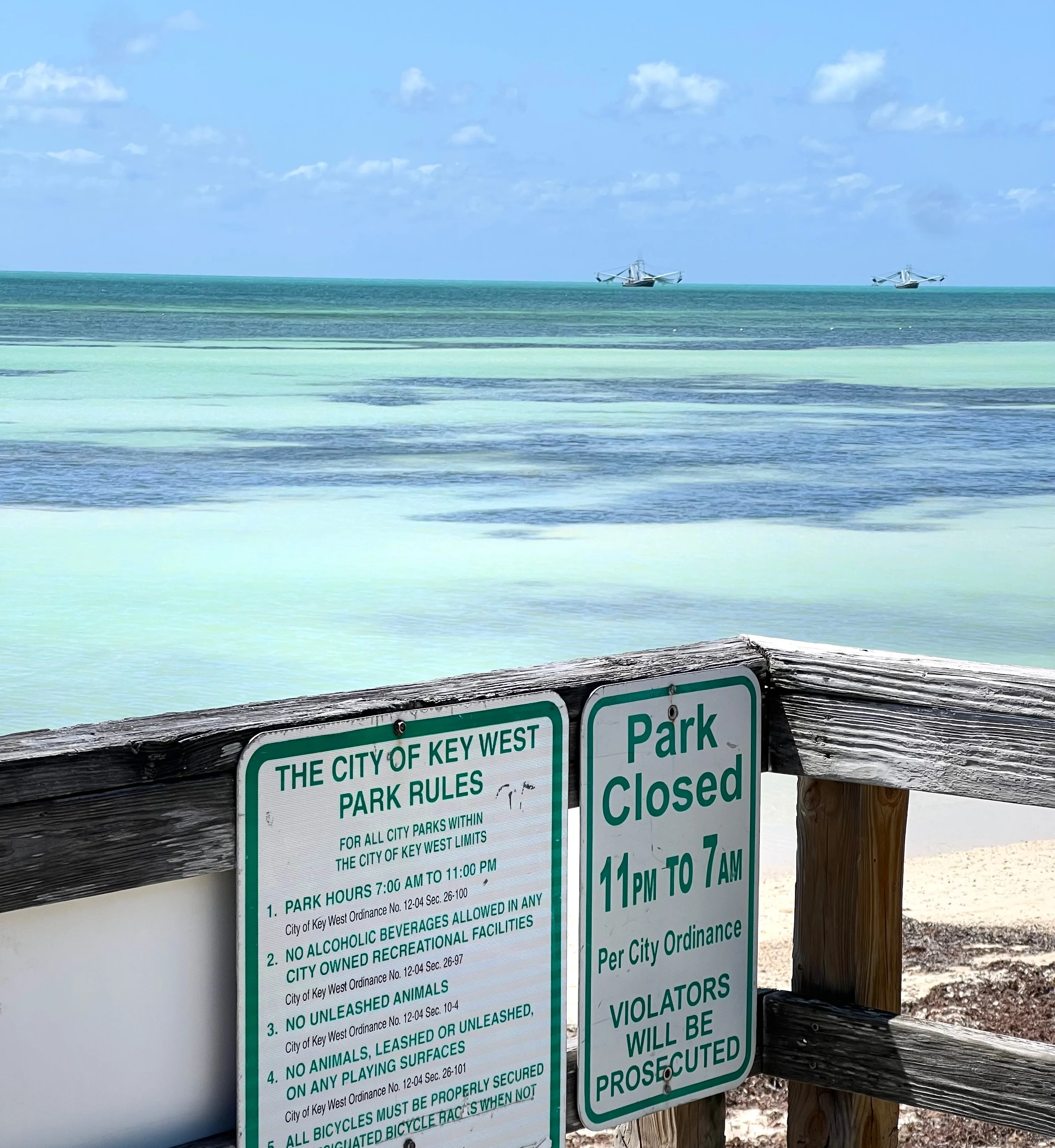 Serene beach view with clear water and blue sky
