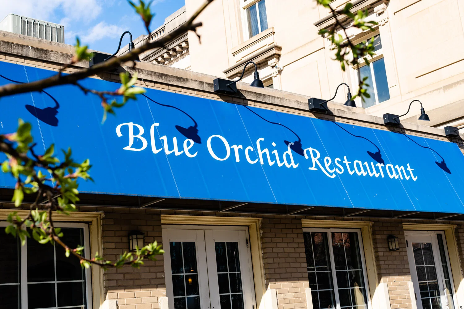 Exterior view of Blue Orchid Restaurant with blue awning