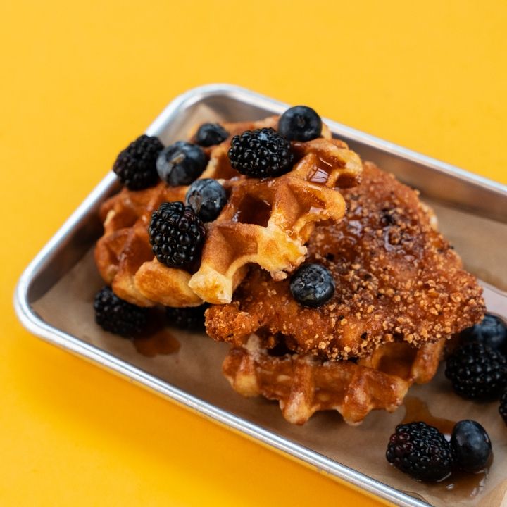 ボトルツリー ボトルツリー ブラキキトン アケリフォリウス 観葉植物