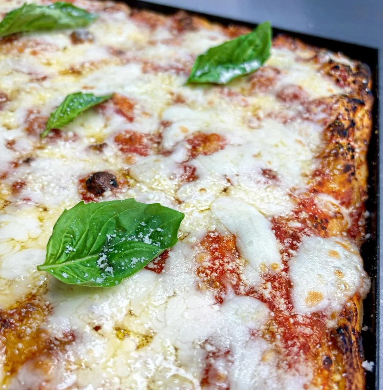 best pizza in Apex NC - best pizza in Raleigh NC - best pizza in the Triangle - best pizza in Cary NC - best pizza in North Carolina - Best pizza in NC - best pizza in Chapel Hill - Best pizza in Carrboro - best pizza in Durham - best pizza in Holly Springs NC - best pizza in Fuquay Varina - roman style pizza near me - roman pizza in Raleigh - pizza al taglio near me - pizza al taglio in Apex