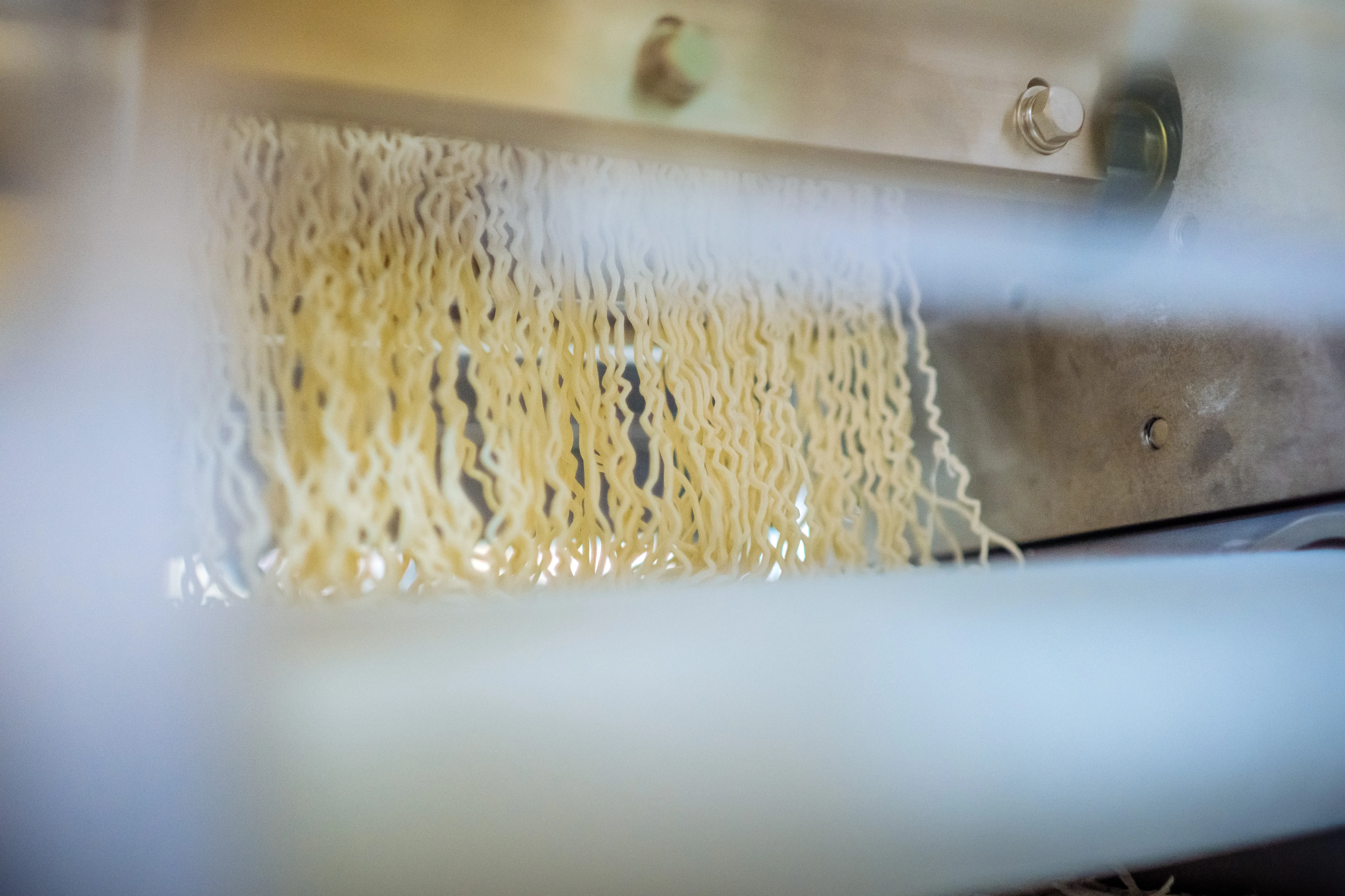 Freshly made ramen noodles hanging in a noodle machine