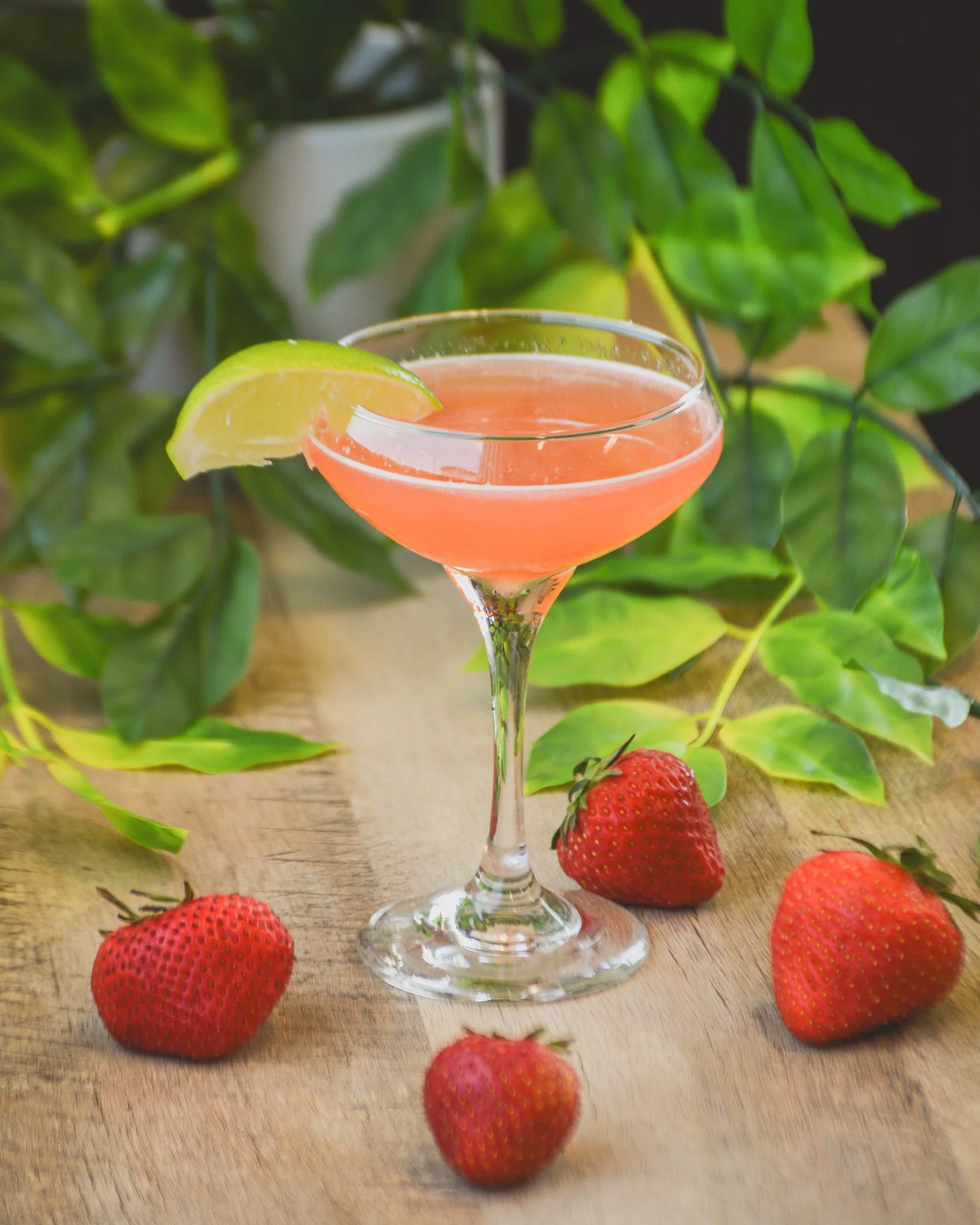 Strawberry Gimlet surrounded by strawberries and greenery