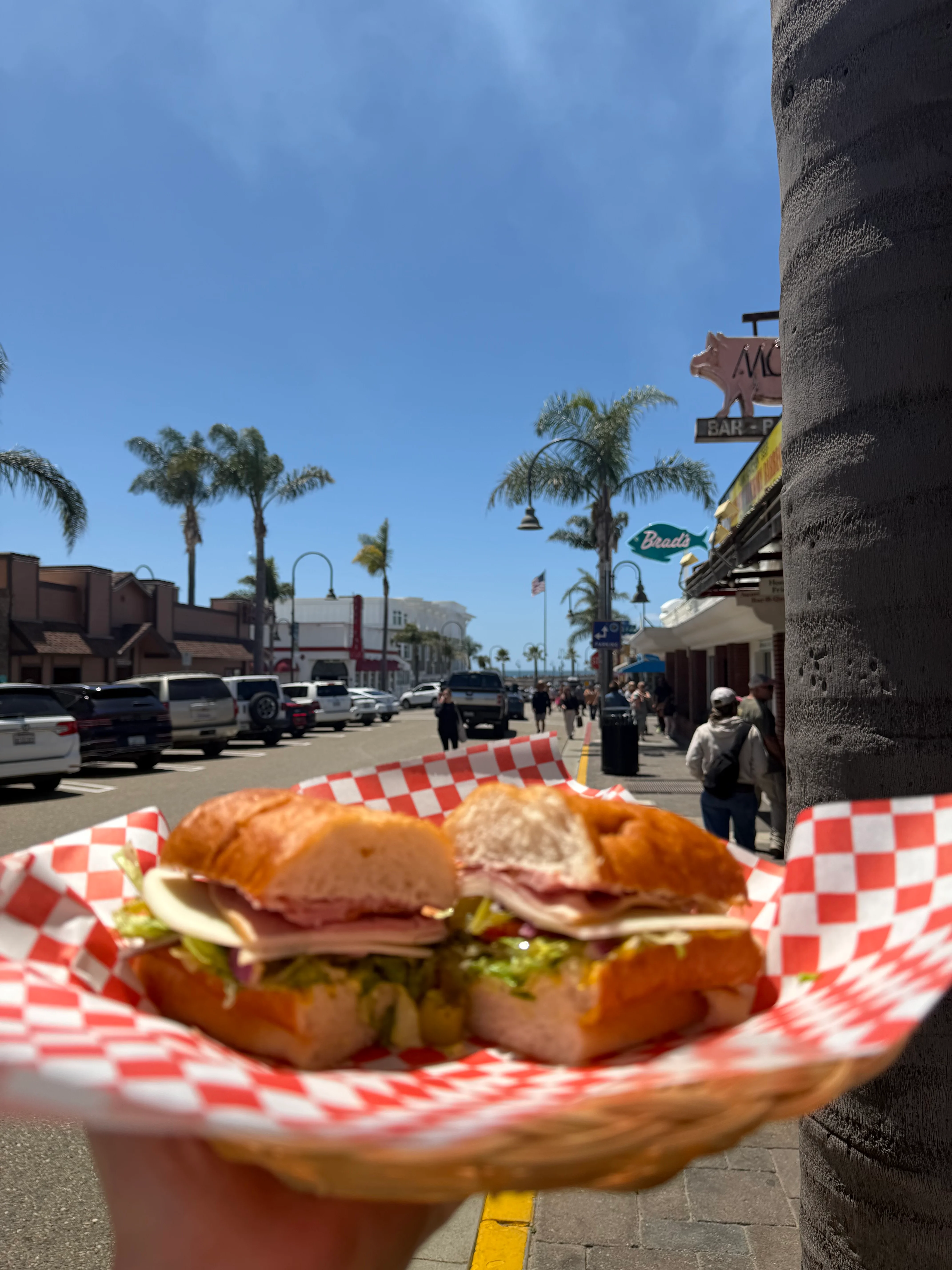 Delicious Italian sub sandwich with fresh ingredients