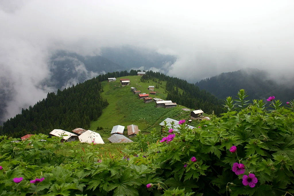 yayla means a summer highland meadow