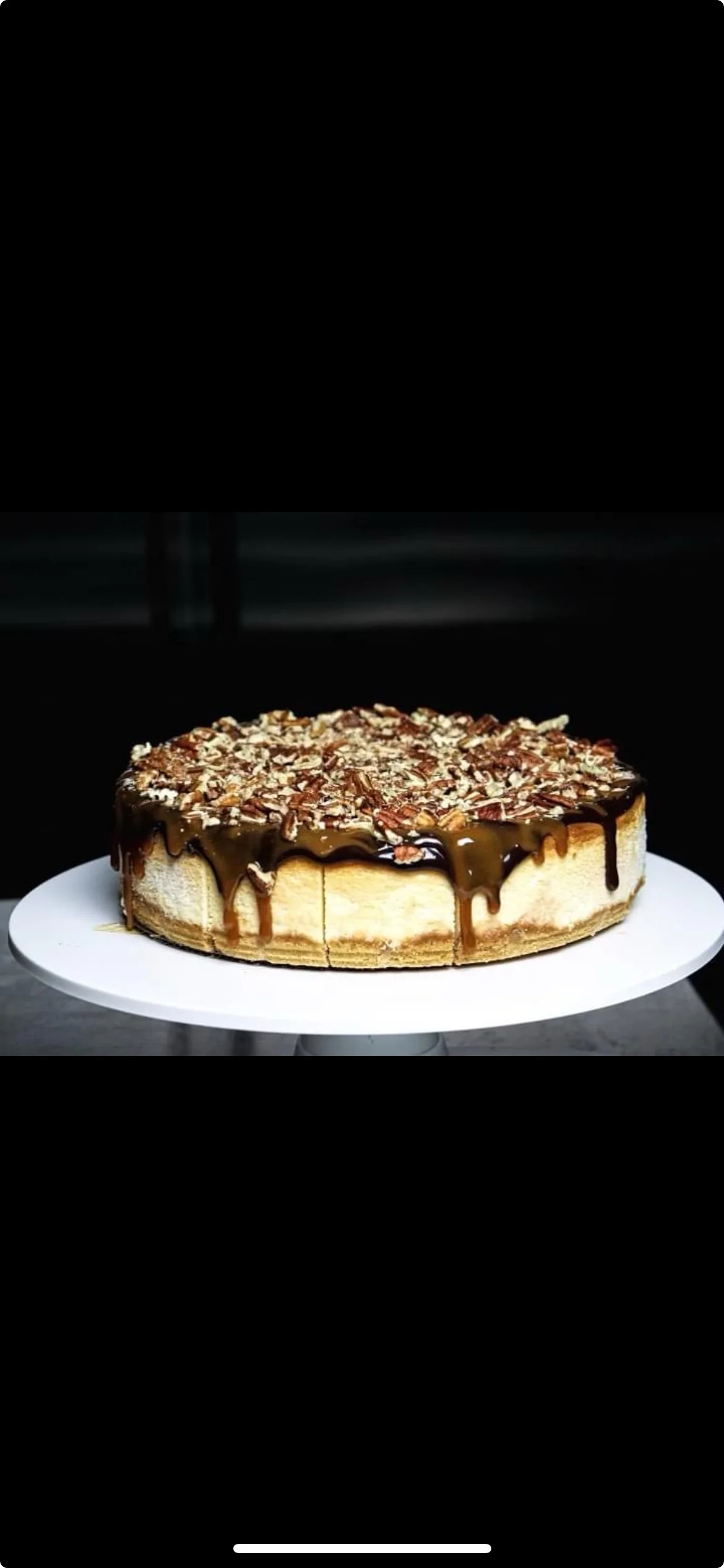 Turtle Whole Cake