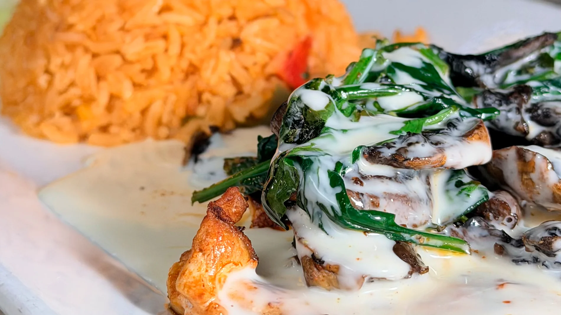 Creamy chicken enchiladas with rice and greens on a white plate