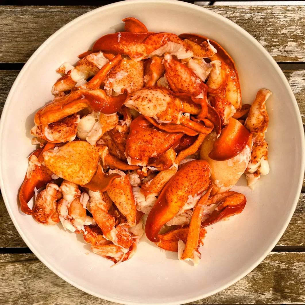 Freshly prepared lobster meat served in a bowl