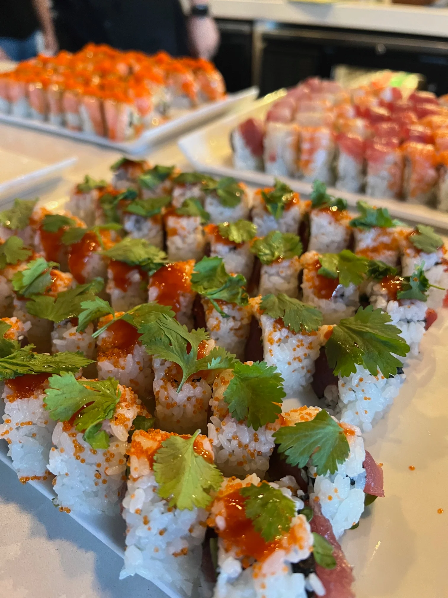 Artfully arranged sushi rolls with spicy sauce and cilantro garnish