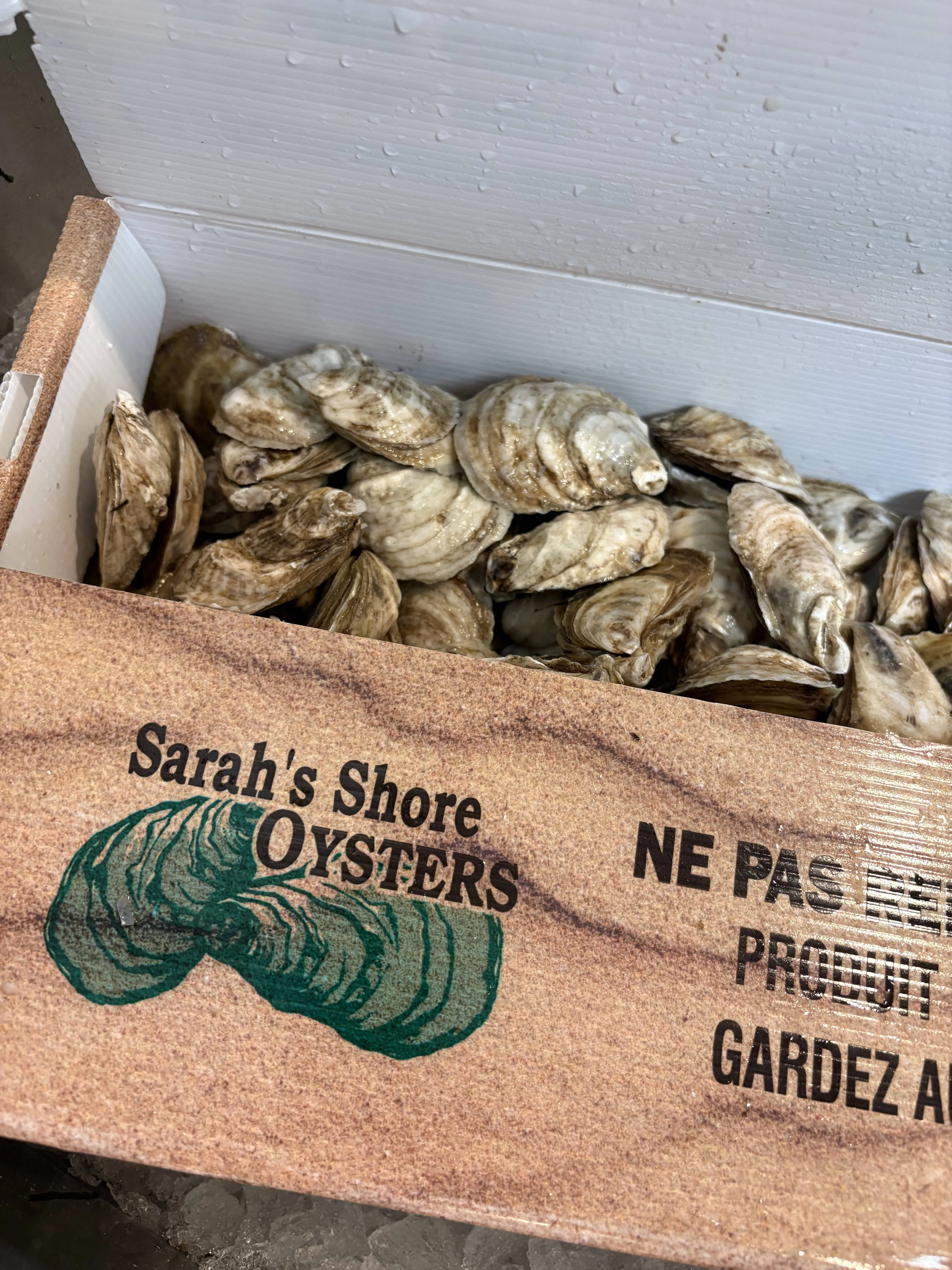 Freshly harvested oysters from Sarah's Shore