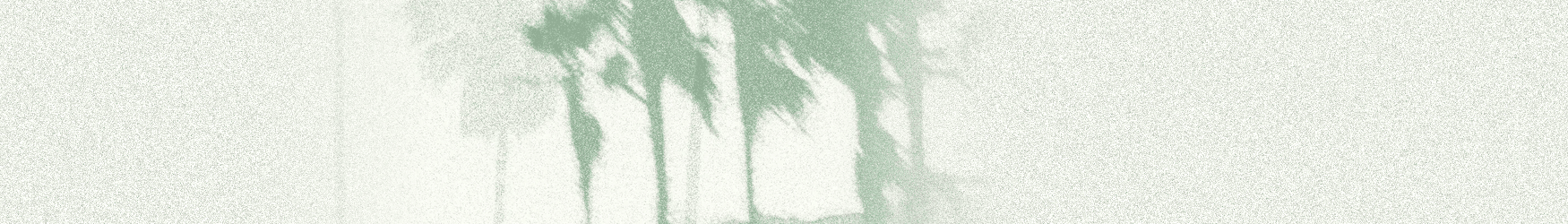 Overexposed, grainy abstract view of an indistinct interior