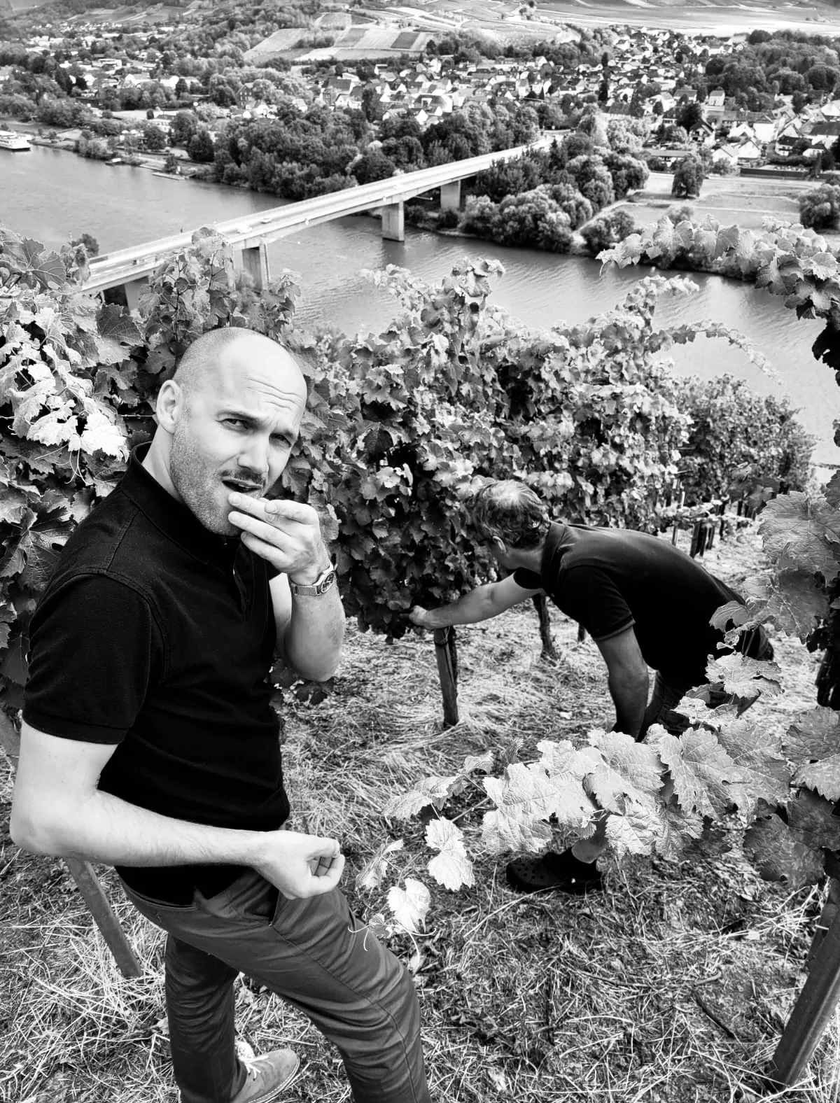 Leirana, Albariño, Rías Baixas, 2022