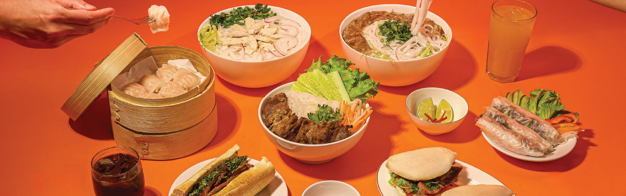 Assorted Vietnamese dishes including pho and spring rolls