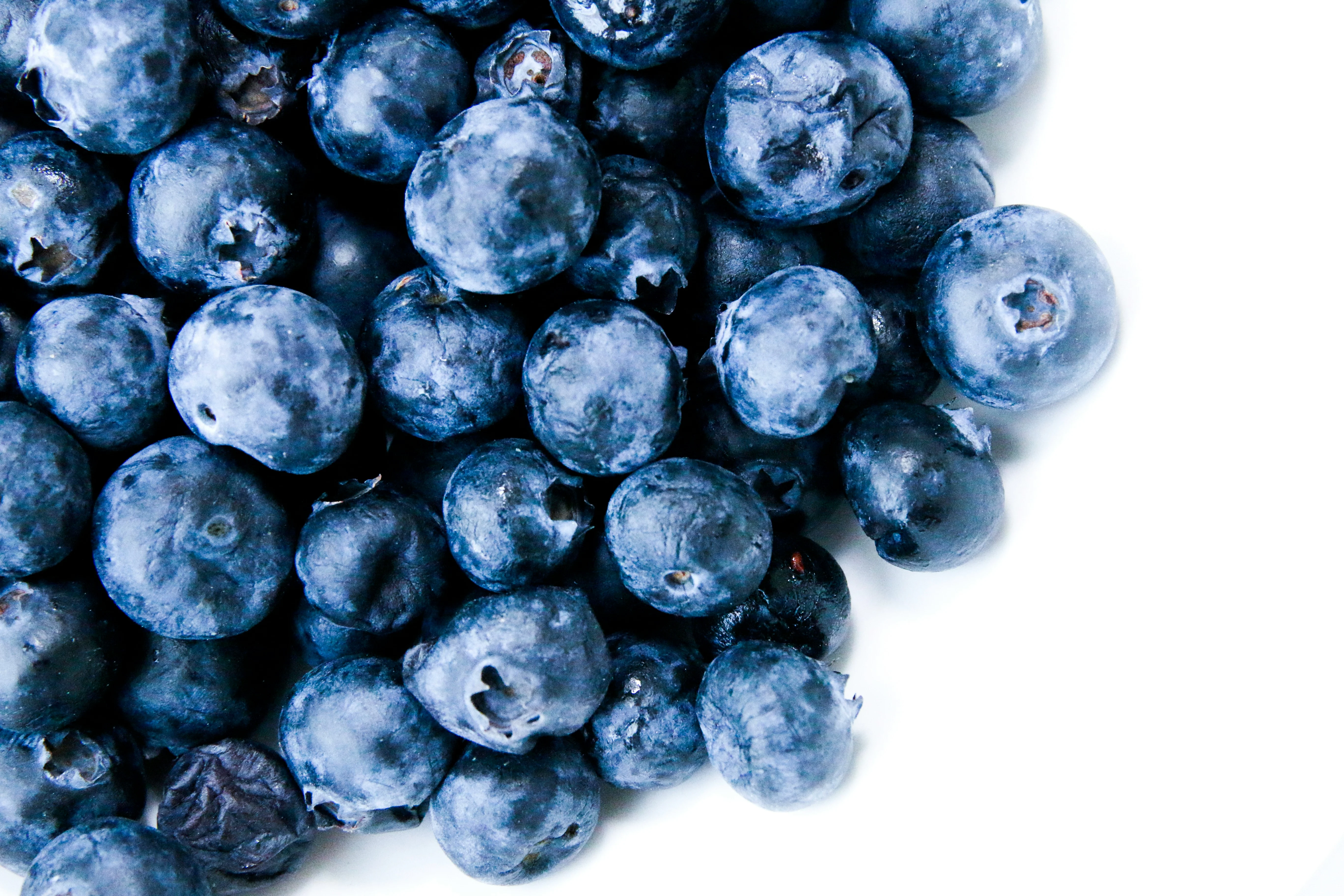 Fresh blueberries on a white background