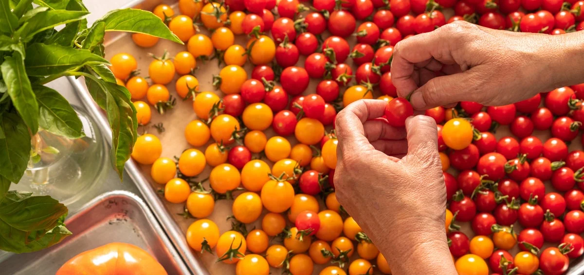 Freshly harvested cherry tomatoes ready for cooking