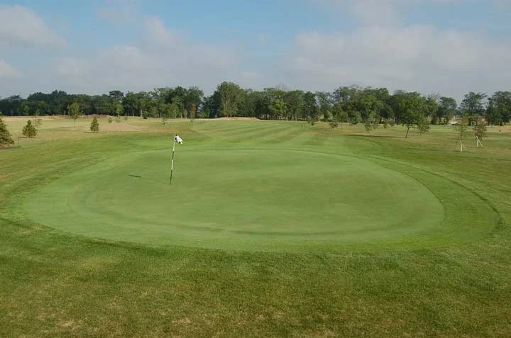 Well-maintained golf green with flag and trees in the background