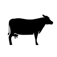 Silhouette of a cow representing dairy farming