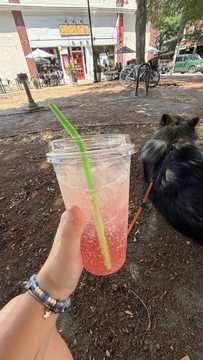 Photo from Rowan P.'s review