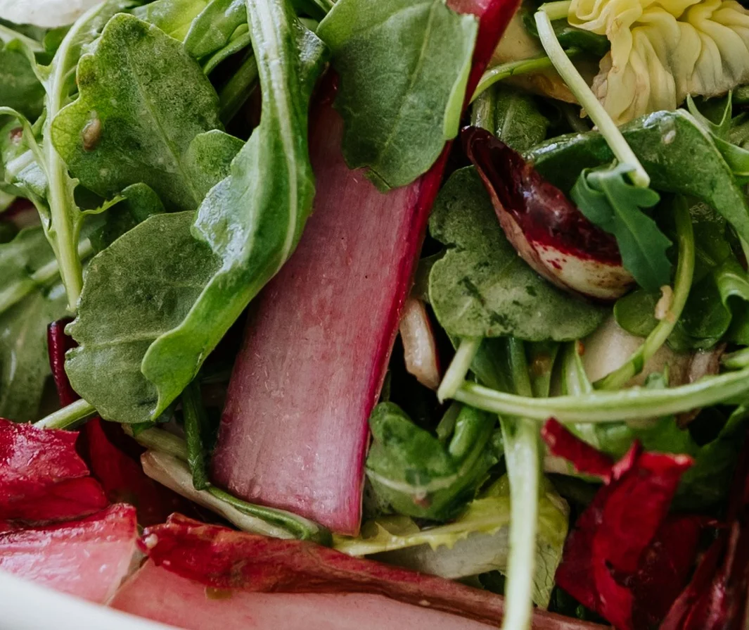 Fresh garden salad in a modern bowl